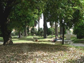 Villa Aldobrandini garden